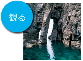 「観る」のイメージ