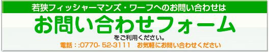 お問い合わせフォームへ