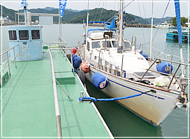 桟橋